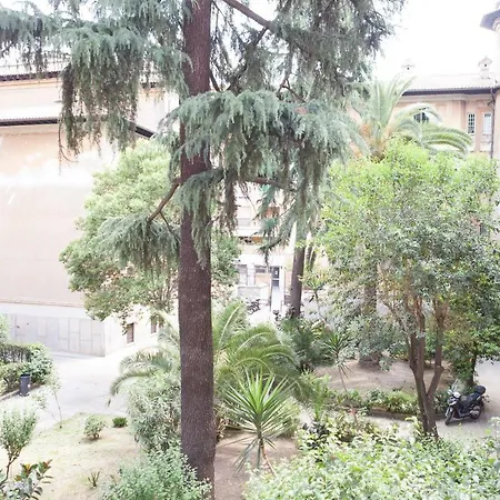 Rolli15
